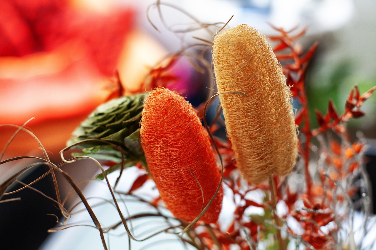 Immagine di una pianta di luffa con frutti simili a zucchine, pronta per la raccolta.
