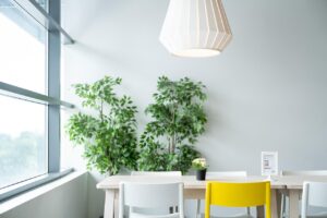 Piante da ufficio resistenti all'aria condizionata e a cure sporadiche, ideali per ambienti lavorativi.