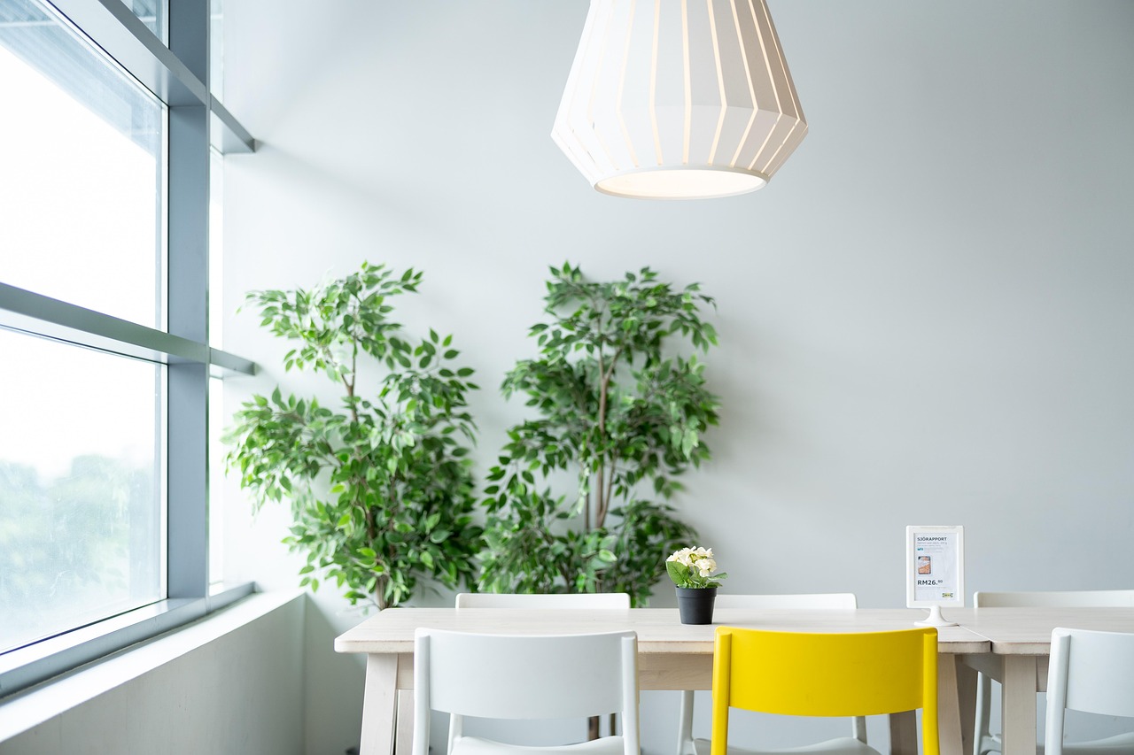 Piante da ufficio resistenti all'aria condizionata e a cure sporadiche, ideali per ambienti lavorativi.